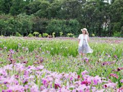 -上海长兴岛郊野公园