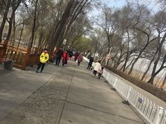 -白洋淀景区