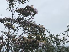 -重庆云阳龙缸景区