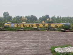 -泗洪洪泽湖湿地景区