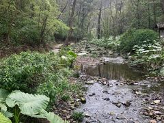 -桂林古东瀑布景区