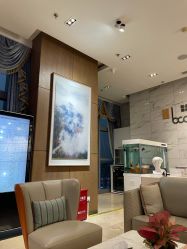 -北京米扬丽格医疗美容·联合丽格鼻整形中心