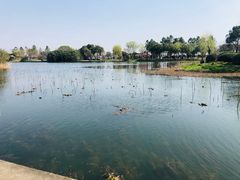 -九里河湿地公园
