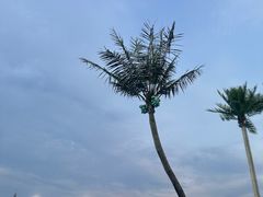 -上海玛雅海滩水公园