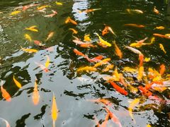 -鼓浪屿钢琴博物馆