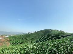 -午潮山国家森林公园