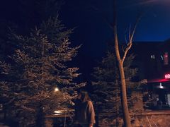 -长白山万达喜来登度假酒店