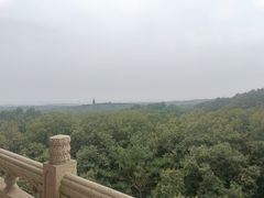 -灵谷景区