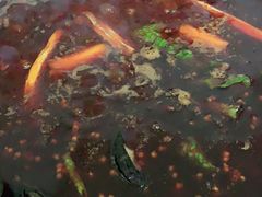 -星鸿社重庆老火锅