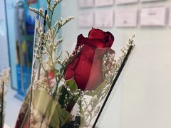 -岳辰齿科(浦东长泰店)