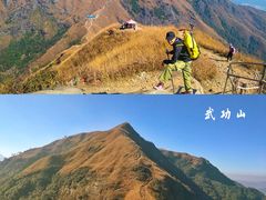 -广东惠东海龟国家级自然保护区