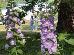 -国家植物园