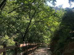 -大岭沟猕猴桃谷风景区