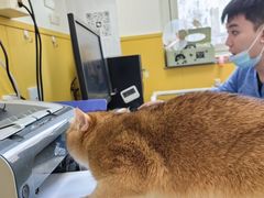 -瑞派·爱瑞可动物医院·口腔专科(广华新城分院)