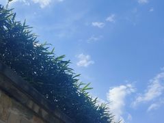 -广州神农草堂中医药博物馆