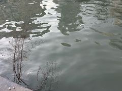 -苏州河梦清园环保主题公园