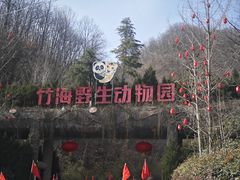 -栾川竹海野生动物园