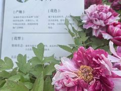 -太阳宫公园