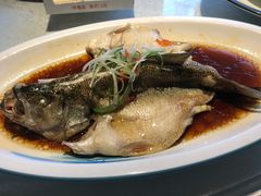 -乡村小镇(新合店)