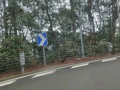 -溪口-滕头旅游景区