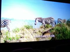 -UME影城(安贞DTS:X店)