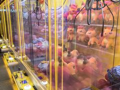 -风云再起游乐汇(北京西单西西友谊店)
