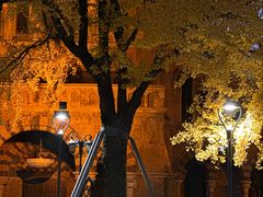 -LESCEDARS Brasserie Bistro香柏树