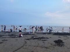 -启东黄金海滩景区