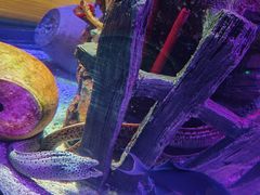 -沈阳海洋探索中心