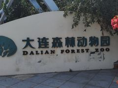 -大连森林动物园