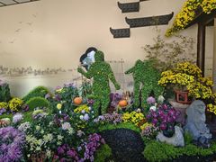 -杭州植物园