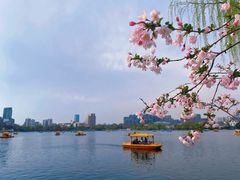 -莫愁湖公园