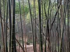 -穹窿山景区