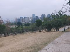 -牛岗山公园