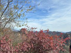 -大岭沟猕猴桃谷风景区