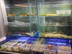 -吕氏焗小鲜•海鲜青岛菜(总店)