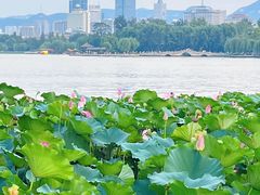 -济南大明湖景区