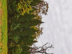 -汉长安城未央宫国家考古遗址公园