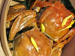 -蟹榭(静安寺晶品商场店)