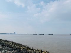 -上海滨江森林公园