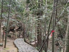 -大余丫山旅游度假区