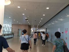 -上海浦东国际机场-T2航站楼
