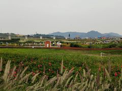 -光明小镇欢乐田园