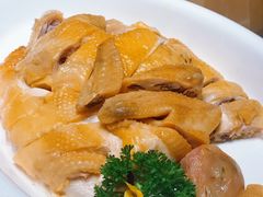 白切龙胜放养凤鸡-桂林肥仔·中华餐饮名店(园湖店)