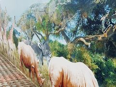 -北京野生动物园