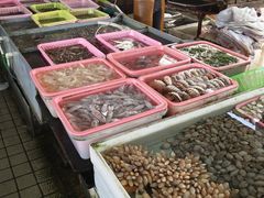 -南沙十九涌渔人码头-南门