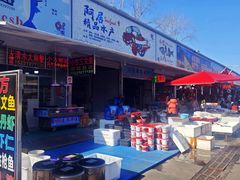 -上海龙吴水胜海发市场