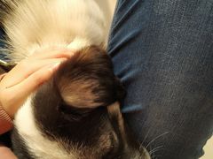 -平行世界·猫咖(首经贸店)