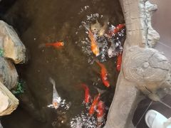 -鸥迪足道(湖南示范店)
