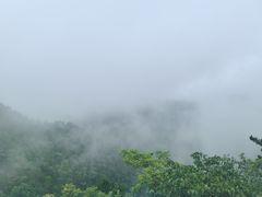 -四明山国家森林公园